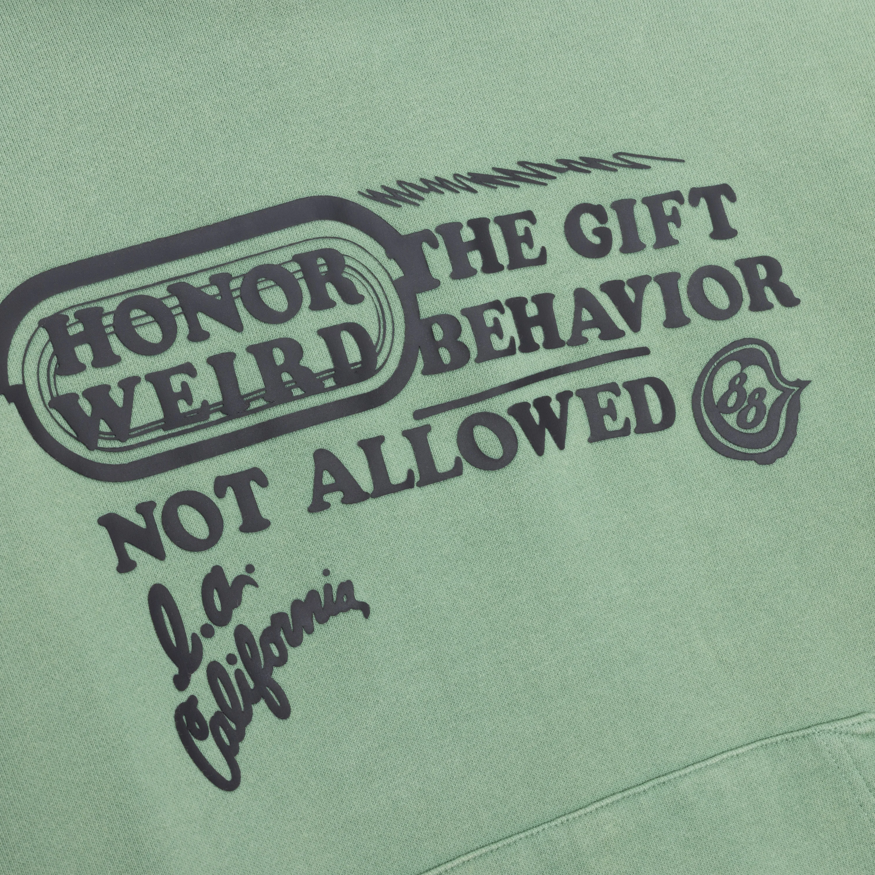 Not Allowed Hoodie - Mint - Image 3