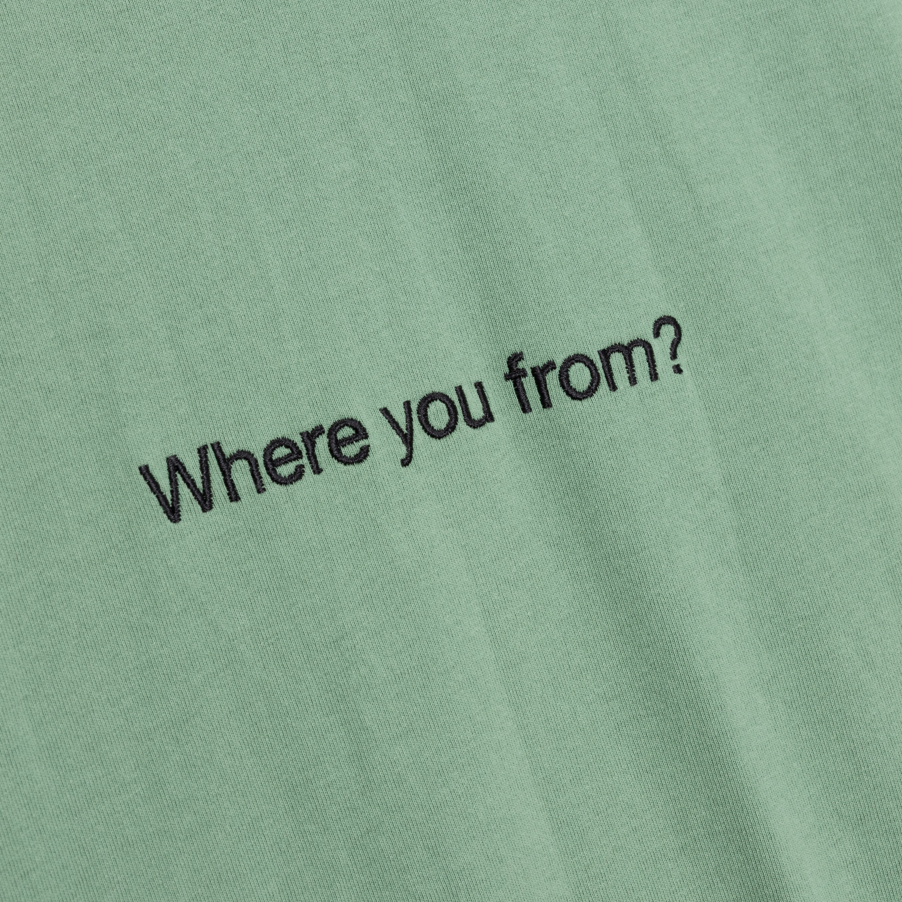 Where You From Tee - Mint - Image 4